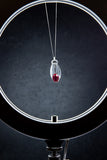 Kodak 10" LED Ring Light for Phones, Small DSLR and Actioncams
